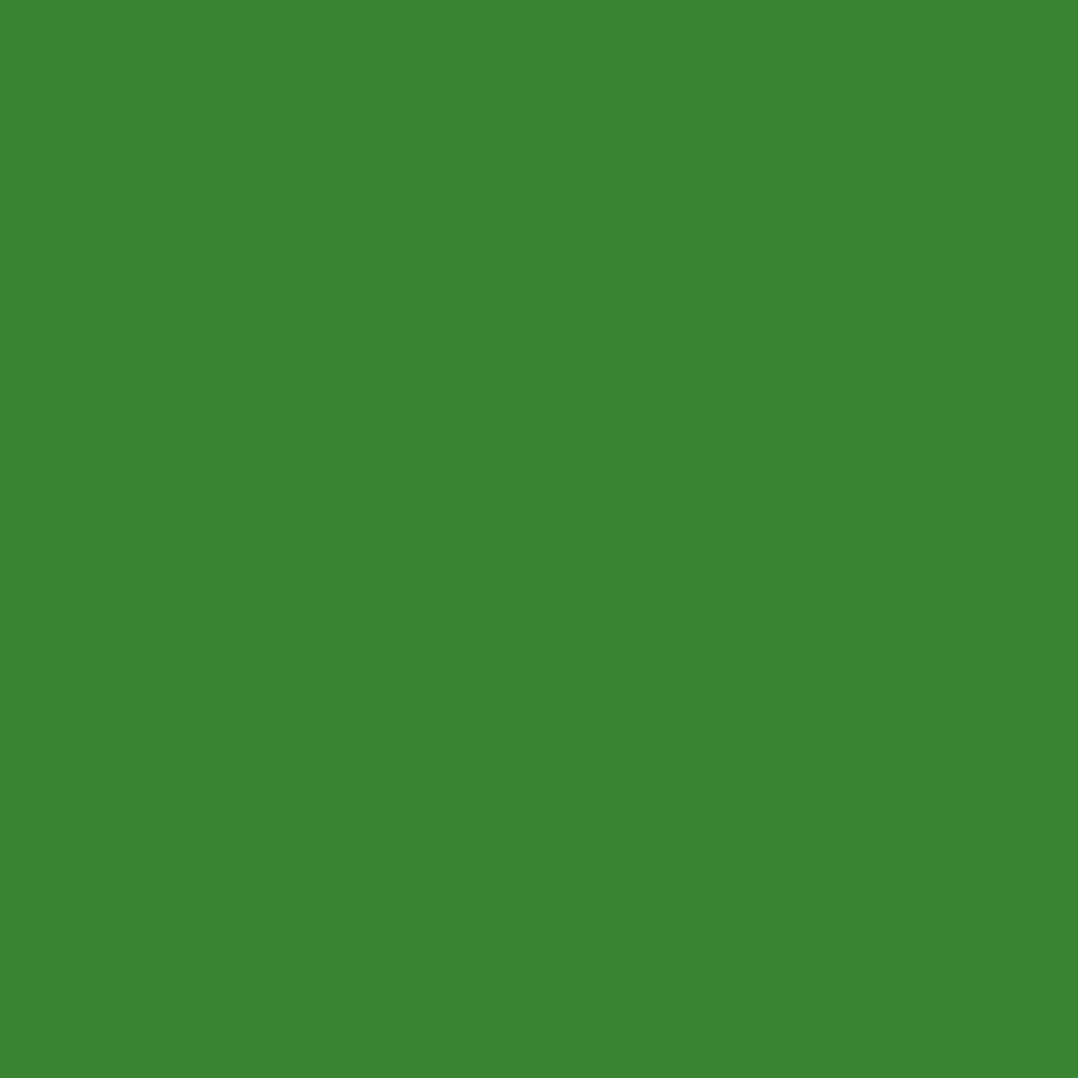 arcadeco-arcagreen-peinture-gazon-1-l-vert image 2
