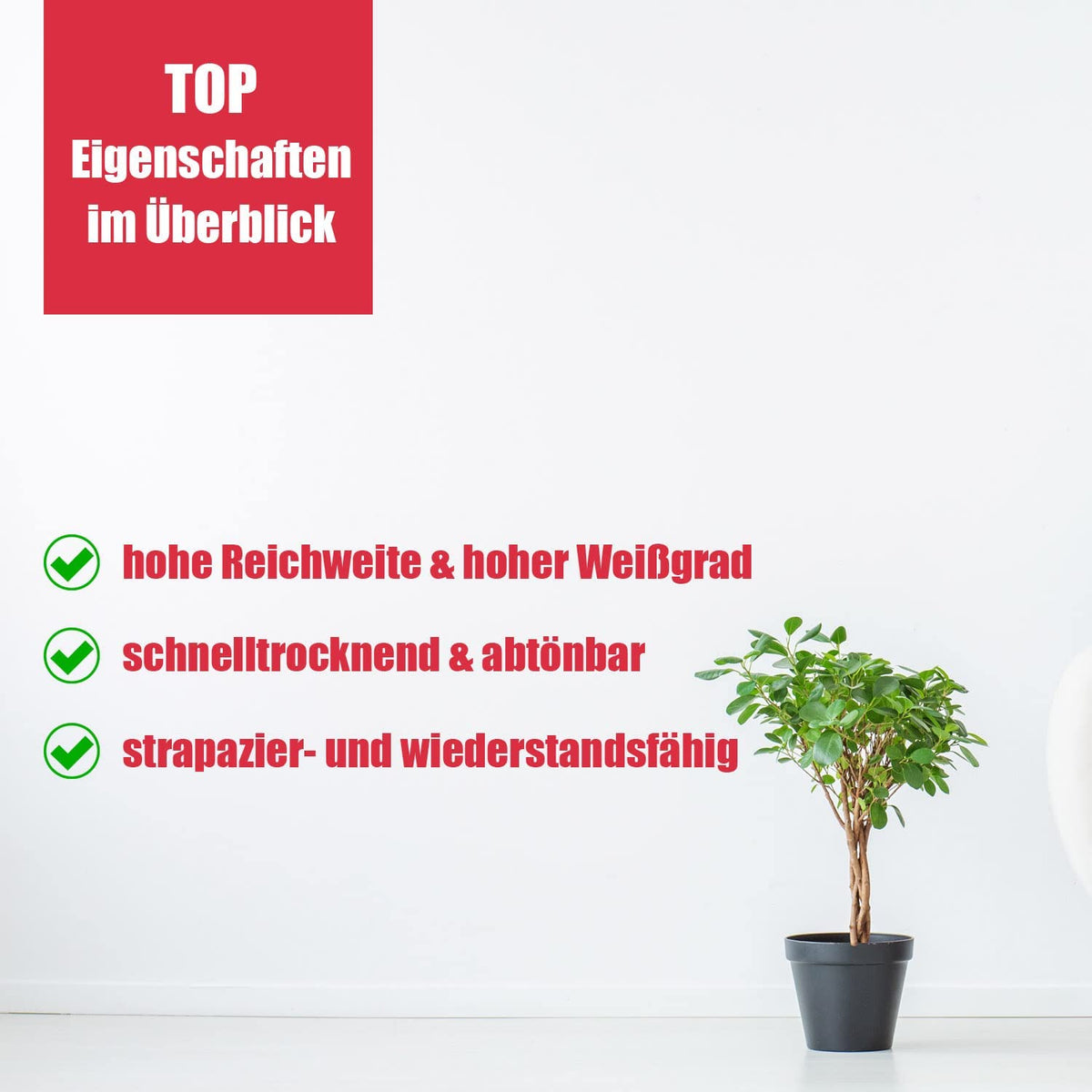 bekateq-d-49w-peinture-anti-moisissure-blanc-mat-5l-fongicide image 5