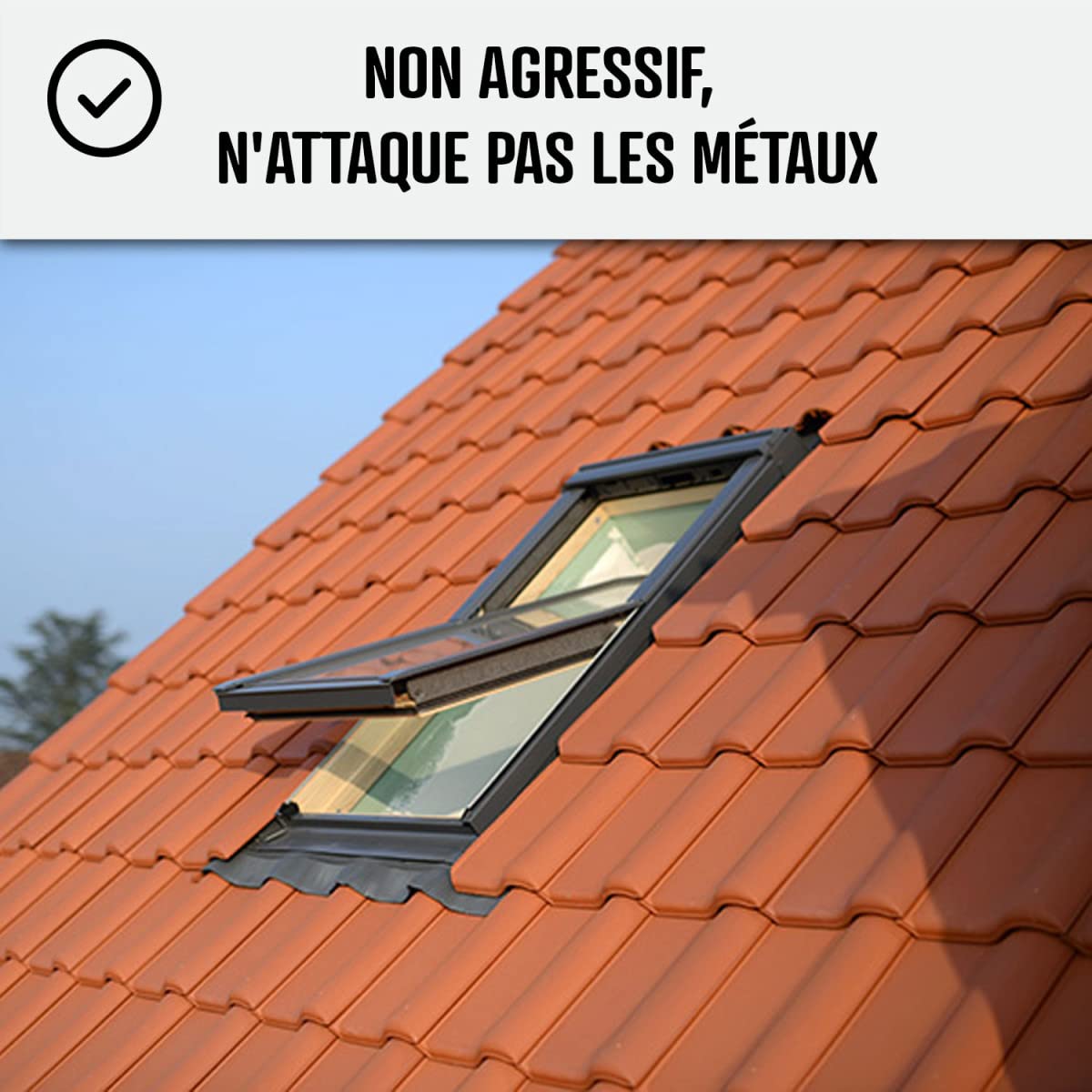 arcane-net-anti-mousse-toiture-concentr-1-l-250-m image 3