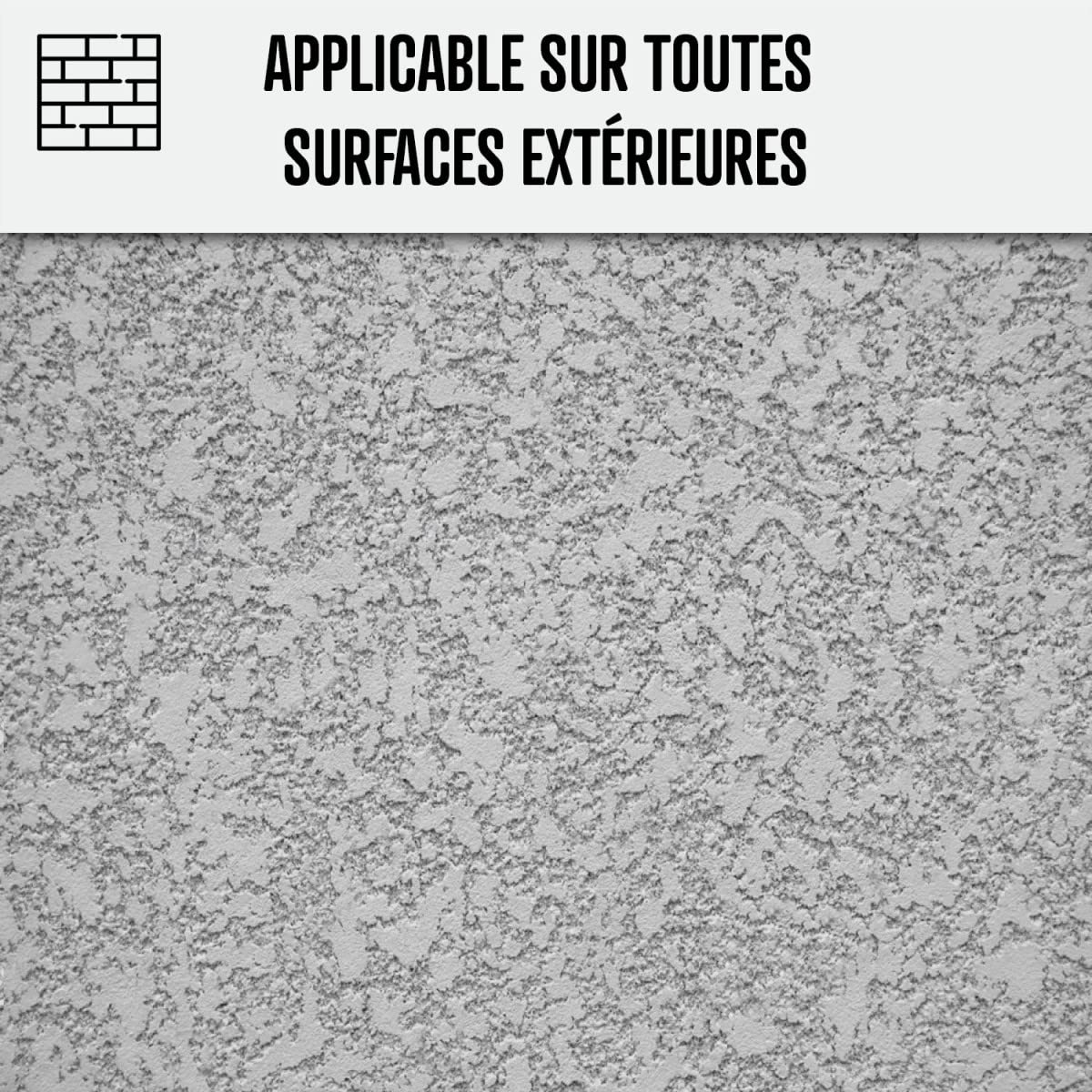 arcane-net-anti-mousse-ultra-concentr-toiture-1-l-250-m image 6