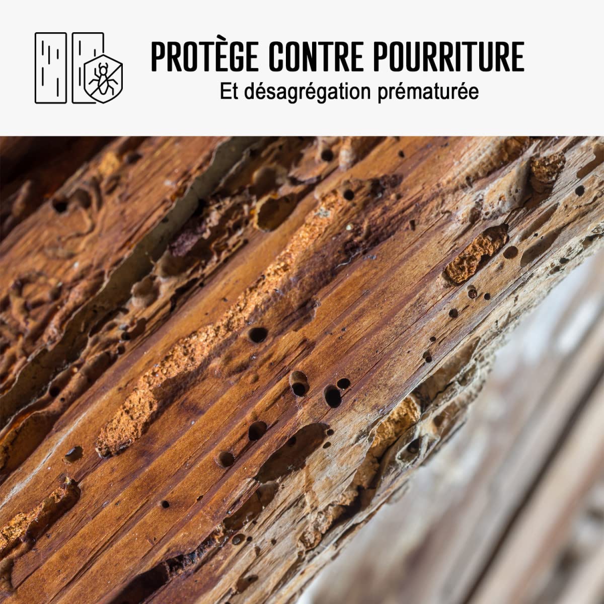 arcane-arcabois-traitement-bois-vrillette-incolore-5-l image 4