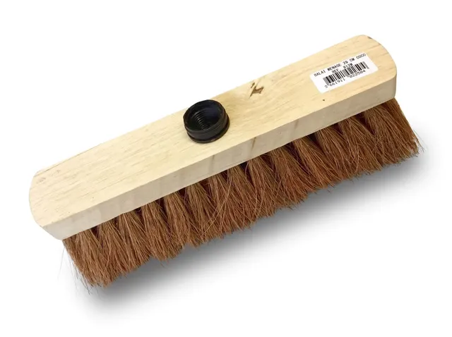 kibros-balais-lot-10-balais-coco-naturel-29-cm-sans-manche image 1