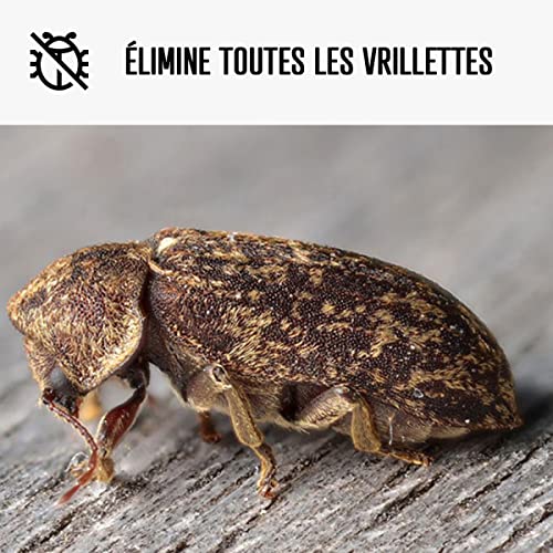 arcane-arcabois-traitement-bois-vrillette-incolore-5-l image 7