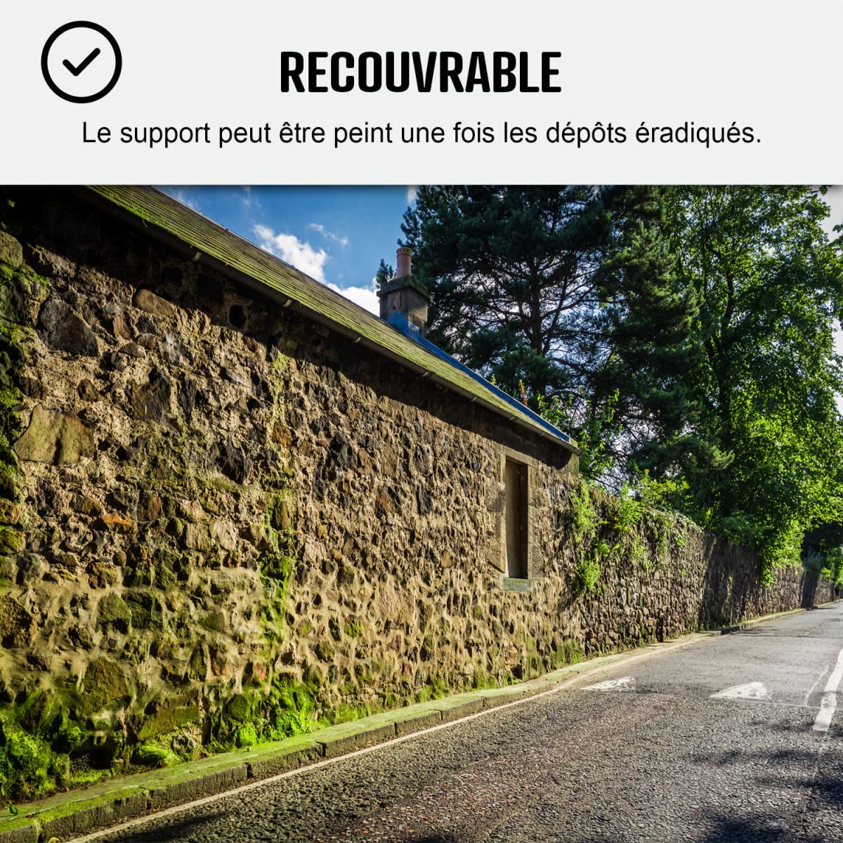 arcane-net-anti-mousse-ultra-concentr-toiture-1-l-250-m image 8