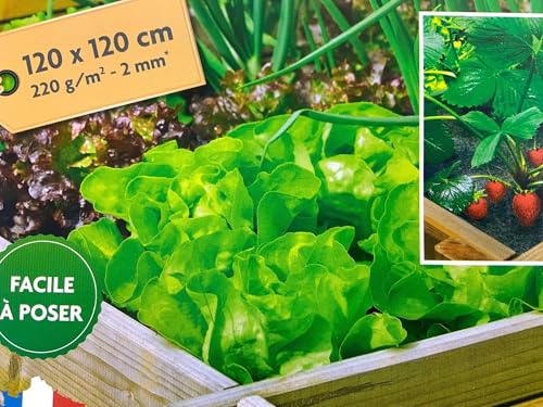 kibros-jardinage-feutre-paillage-potager-220g-120x120-cm-anti-herbe image 8
