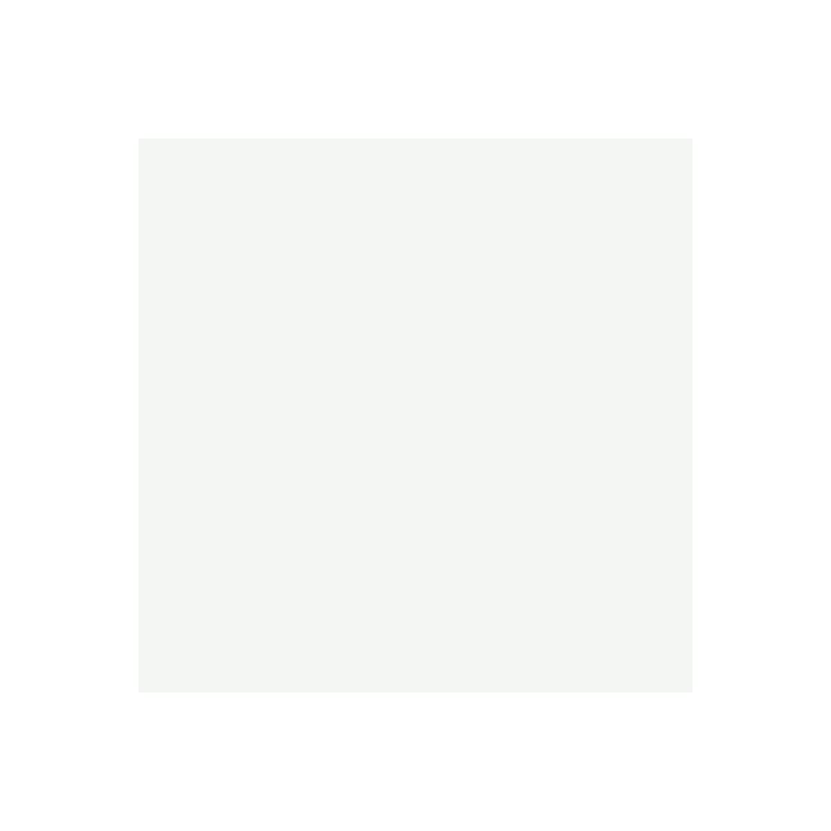 arcane-arcadeco-peinture-carrelage-poxy-blanc-ral-9003-1-kg image 2