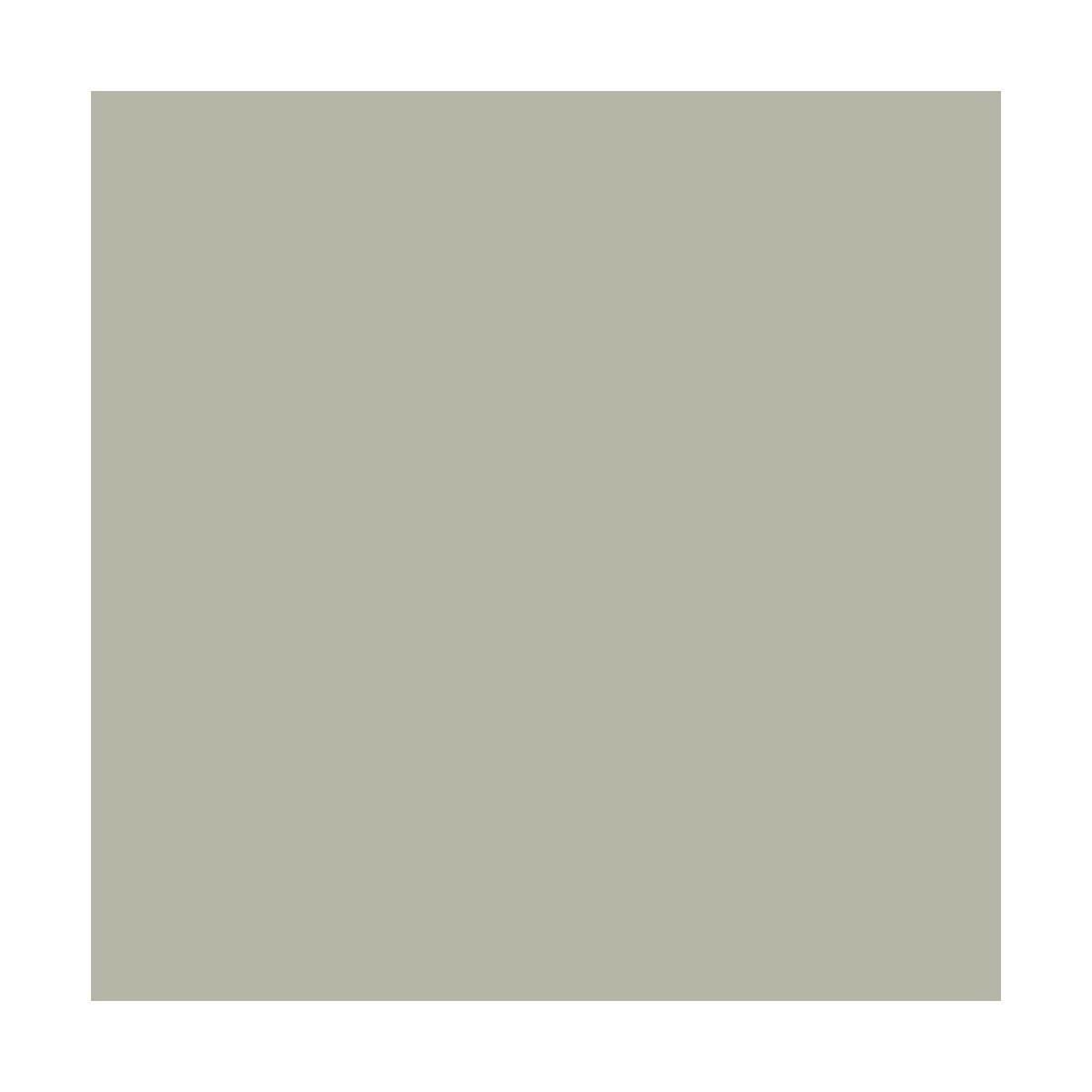 arcane-nuances-min-rales-peinture-chaux-30-m-wasabi-blanc-vieilli image 2