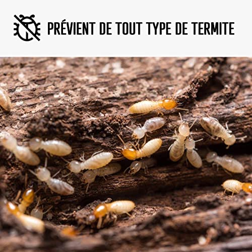 arcabois-traitement-bois-anti-termite-5-l-incolore image 8