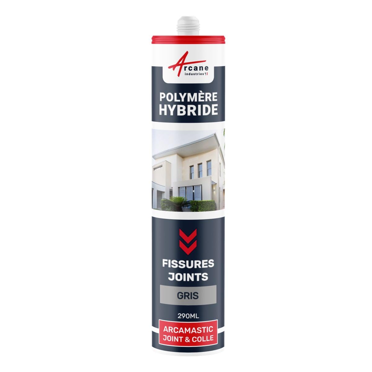 arcamastic-mastic-joint-tanch-it-290-ml-gris-clair image 1