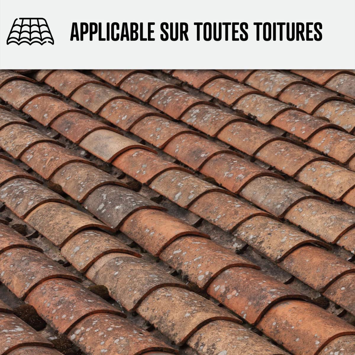 arcane-industries-net-nettoyant-toiture-5-l-action-rapide image 7