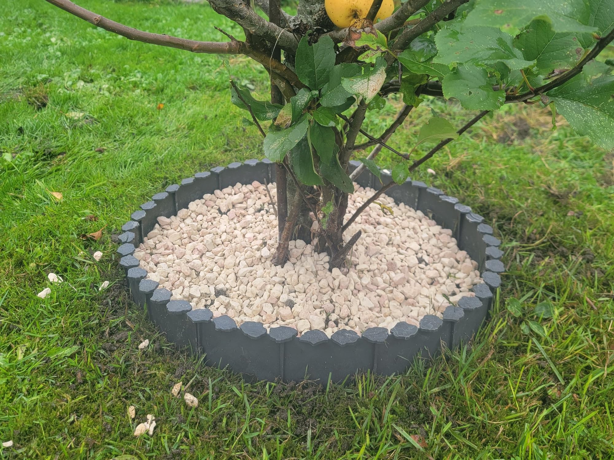 kibros-jardinage-entourage-arbre-pehd-25-cm-lot-3-clipsable image 6