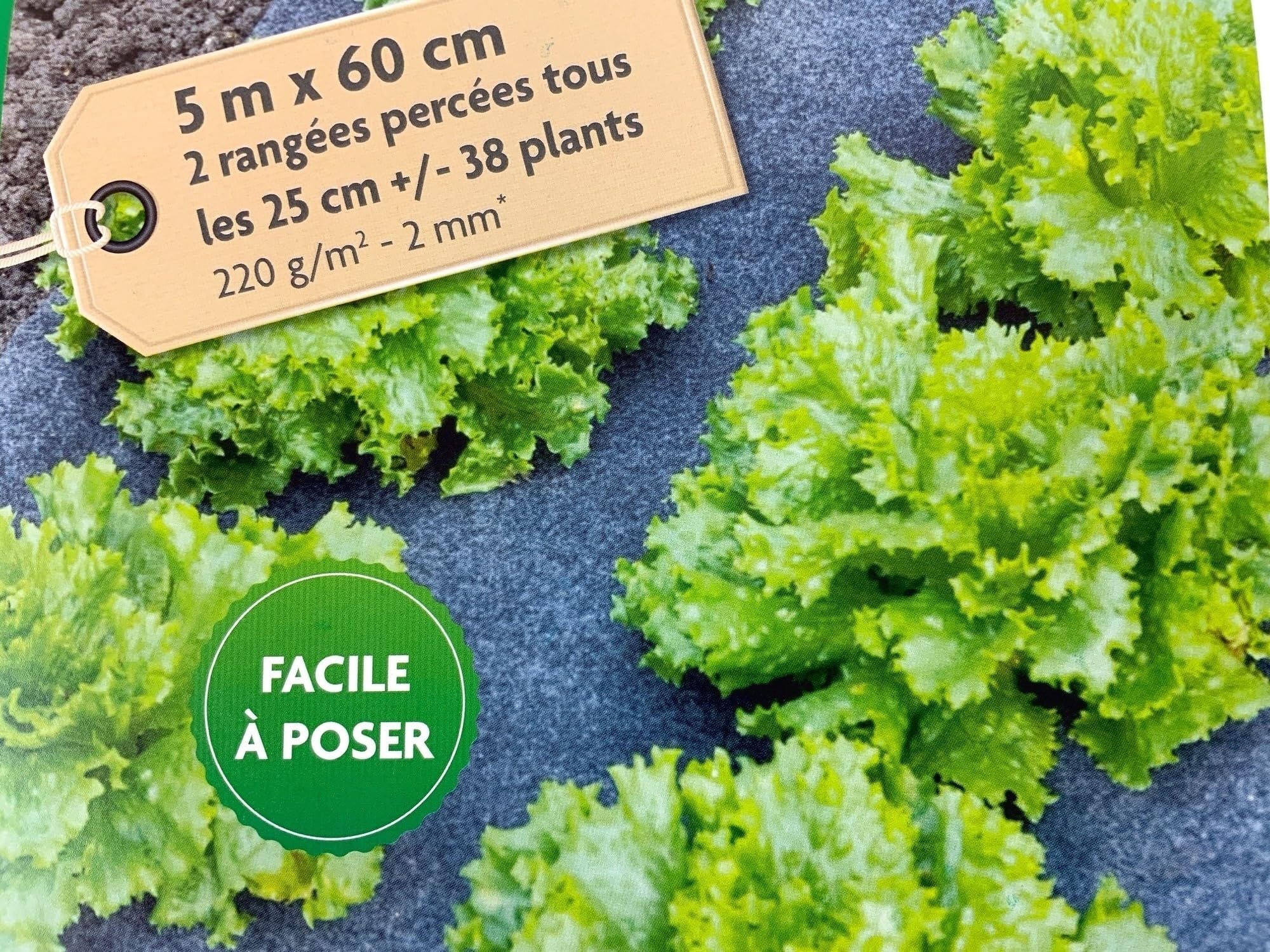 kibros-jardinage-kit-culture-salades-haricots-feutre-5x0-6m-38-trous image 5